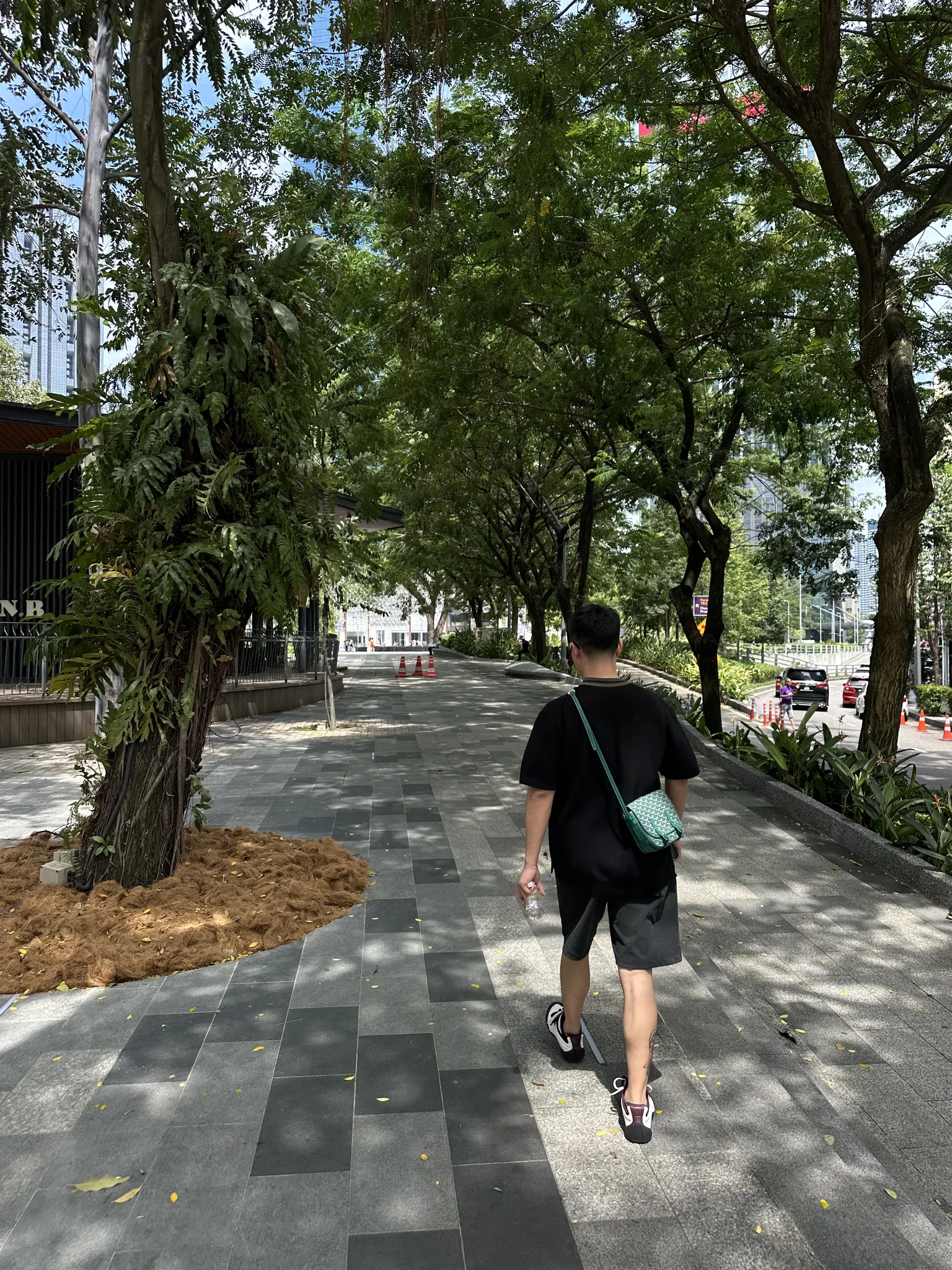 Bangsar 绿树成荫的步行道